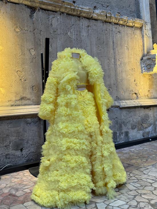 Abiti ispirati alla mostra Rara Avis. Moda in Volo 