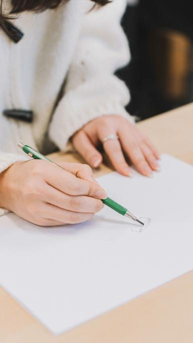 Stage e collaborazioni