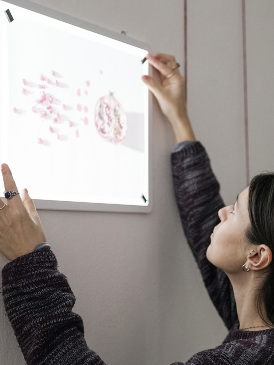 GTA Contest: due studentesse premiate al MAXXI